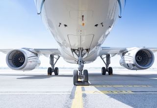 _27A4861_bearb.jpg