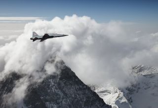 Tiger over Matterhorn