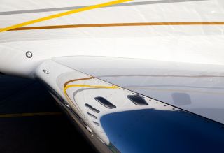 _27A5176.jpg