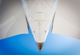 _27A4346.jpg