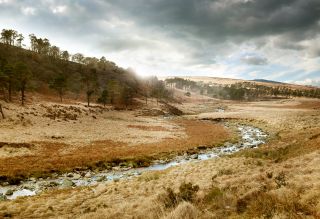 Stream Course, Ireland