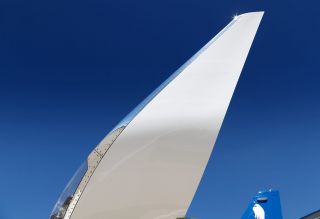_27A8625.jpg